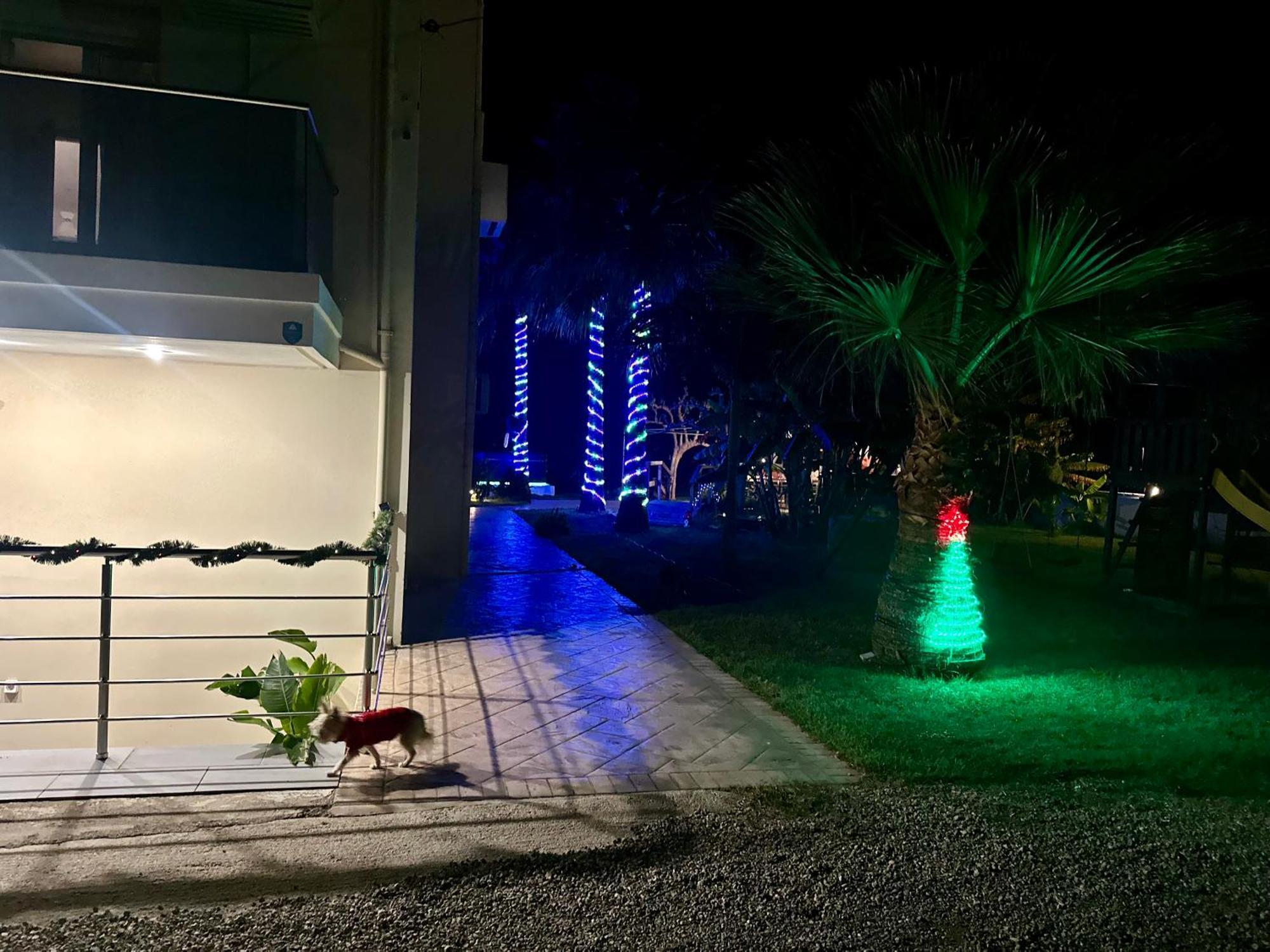Martimi Apartments - 200M From Drapanias Beach - Pool - Hot Tub - Sauna - Bbq Kíssamos Exterior foto