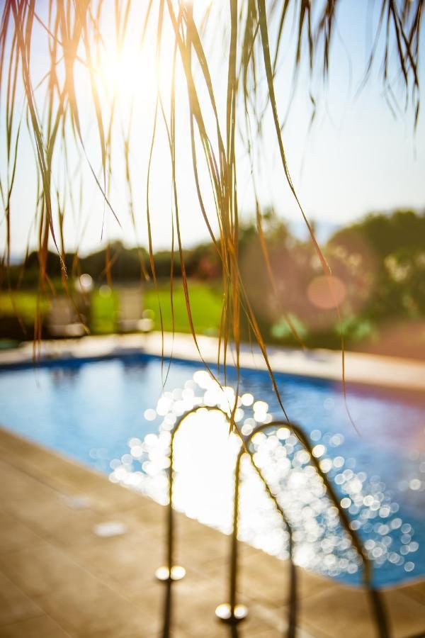 Martimi Apartments - 200M From Drapanias Beach - Pool - Hot Tub - Sauna - Bbq Kíssamos Exterior foto